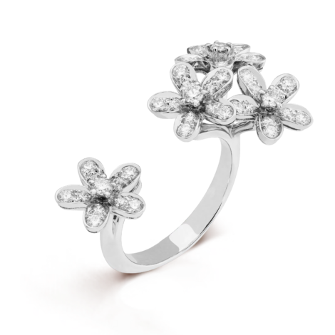 Socrate Between the Finger Ring (White Gold, Diamond)